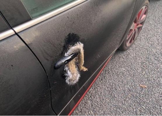 Samantha fikk et stort sjokk da hun kom ut til bilen sin