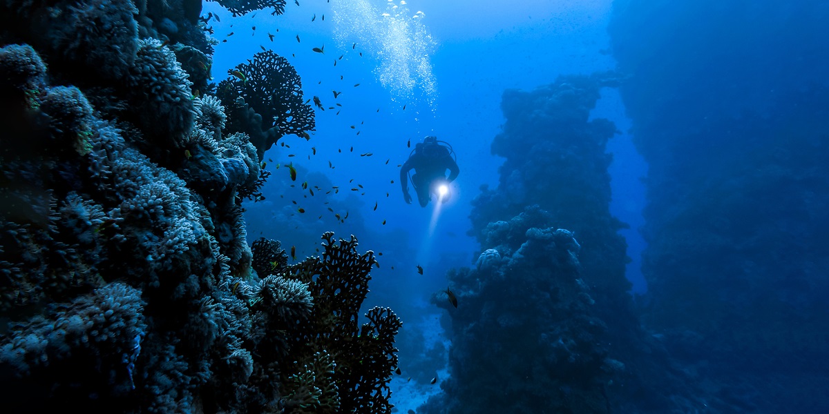 Den svenske marinen leter etter historiske skipsdeler på havbunnen i Norge