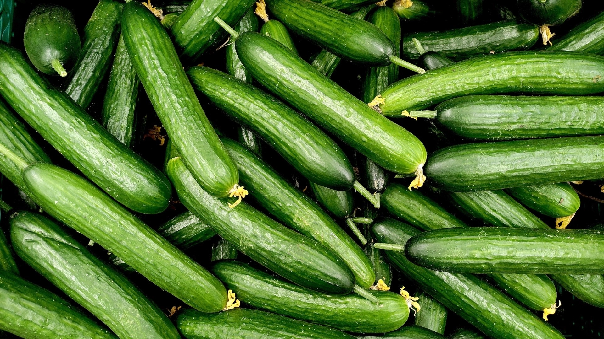 Er det sunt å spise agurk hver dag? Her er svaret
