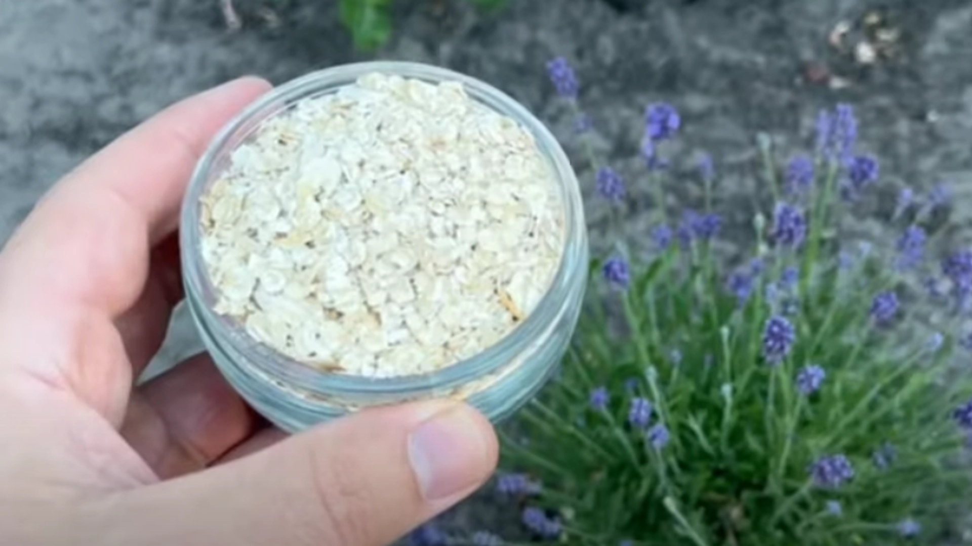 Havregryn finnes i mange norske kjøkken – men vent til du ser hvordan den kan brukes i hagen