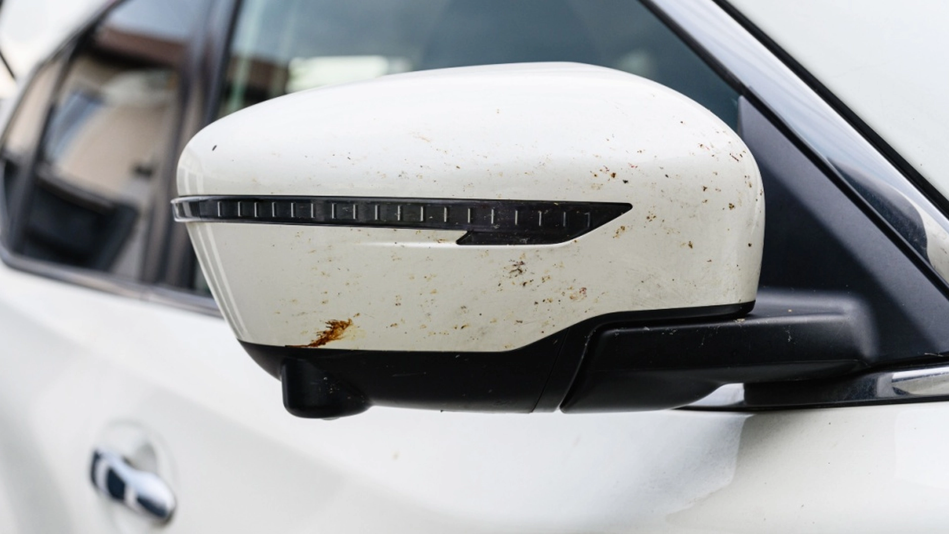 Mange har lagt merke til: Derfor er det færre døde insekter på bilen din