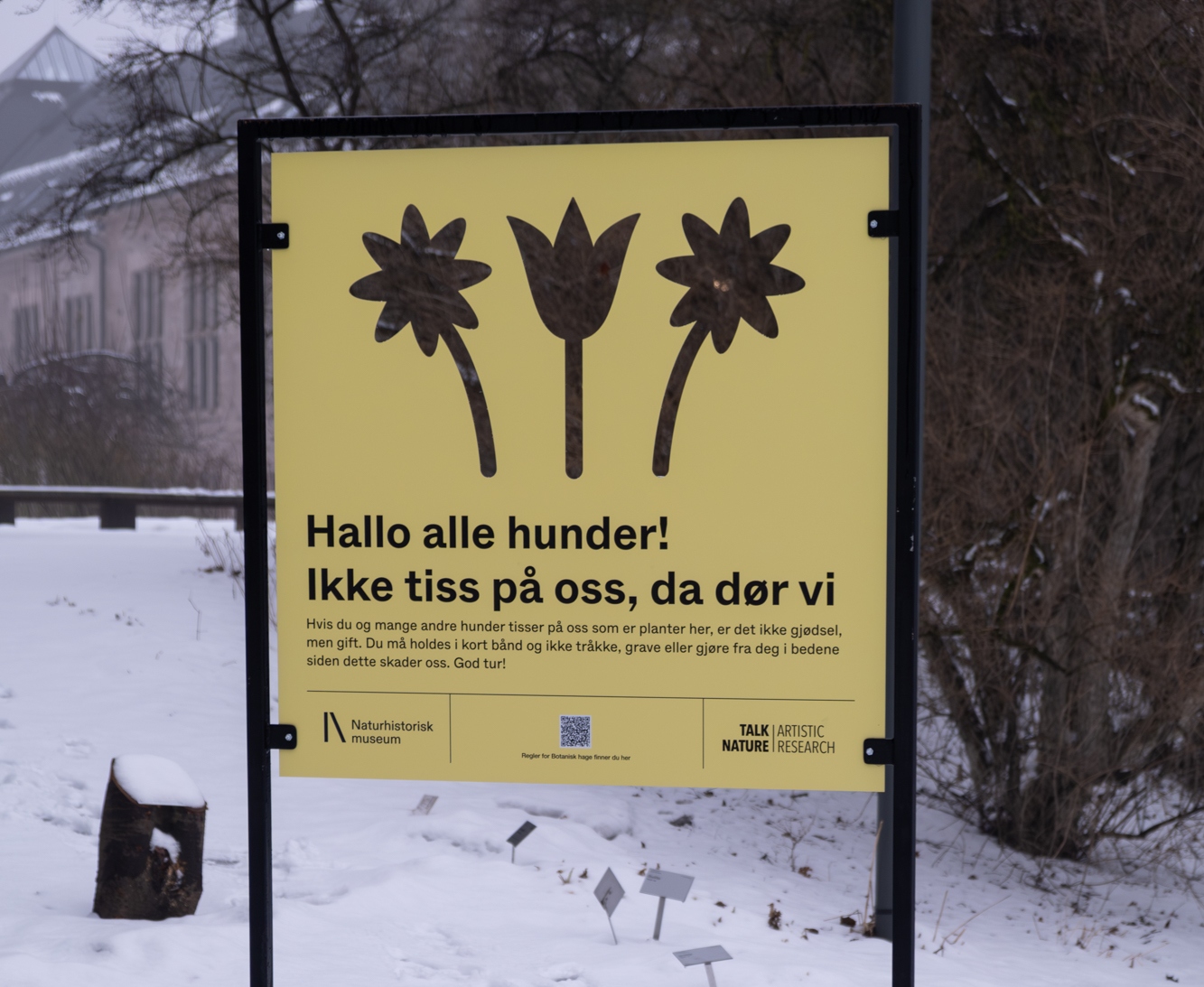 Totalt hundeforbud på dette populære stedet fra i morgen