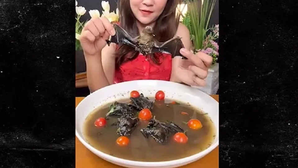 Foto: Youtube