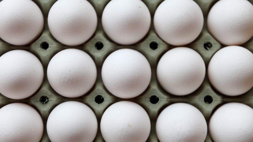 Synes du egg har blitt dyrt? Her koster en 12-pakning over 100 kroner!