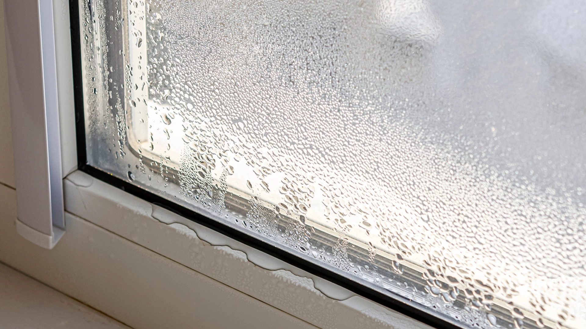Du trenger bare noen få dråper: Mirakelmiddel holder kondens borte fra vinduene dine