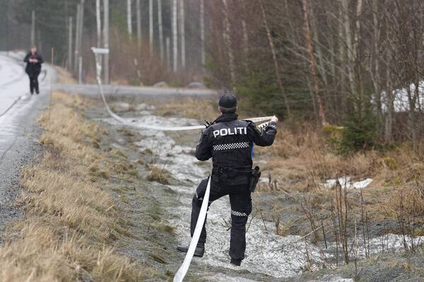 Politiet ber om fire nye uker i varetekt for mistenkt i Nord-Odal-drapet