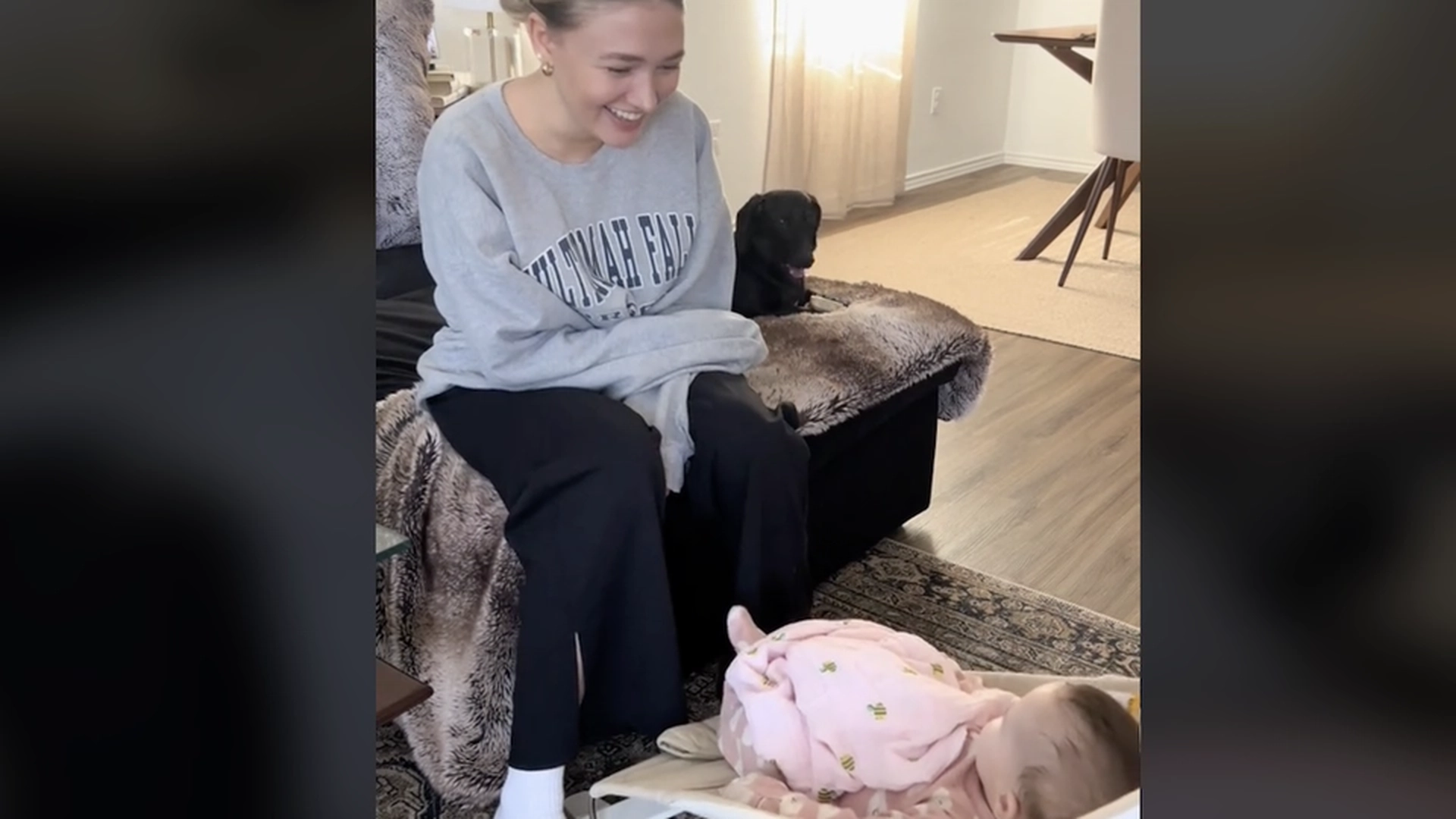 Sjalu hund går viralt: Slik reagerer hunden på familiens nye baby