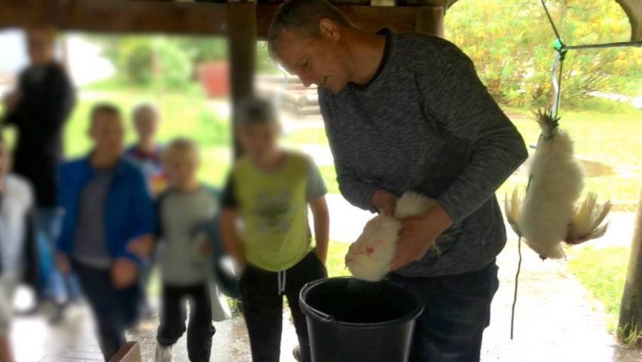 Skole i shitstorm: Pedagog halshugger haner foran små barn