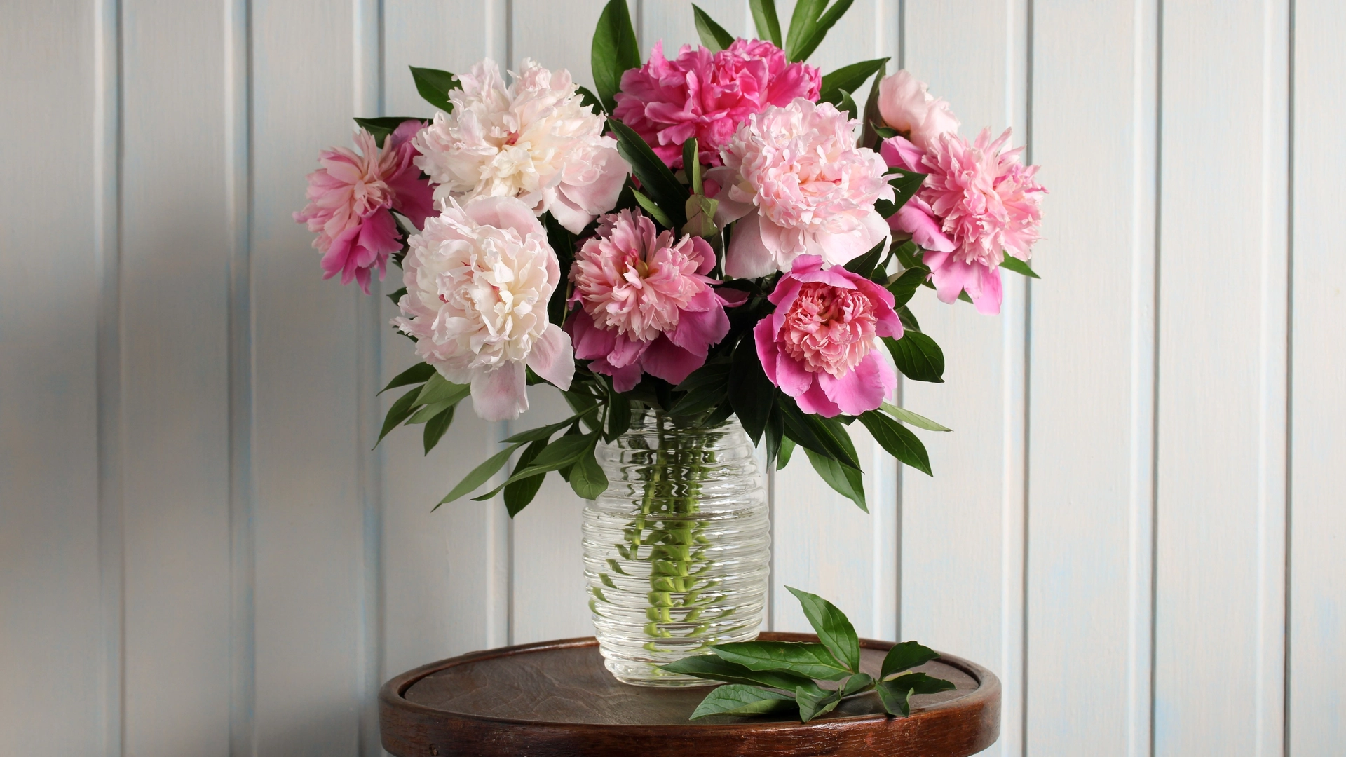 Nyttige tips for alle peonelskere: Hvordan få buketten til å vare lenger