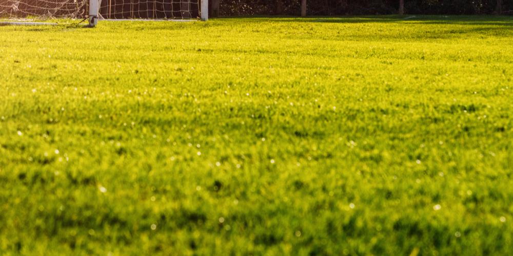 Tragisk ulykke: Far døde under sønnens fotballkamp