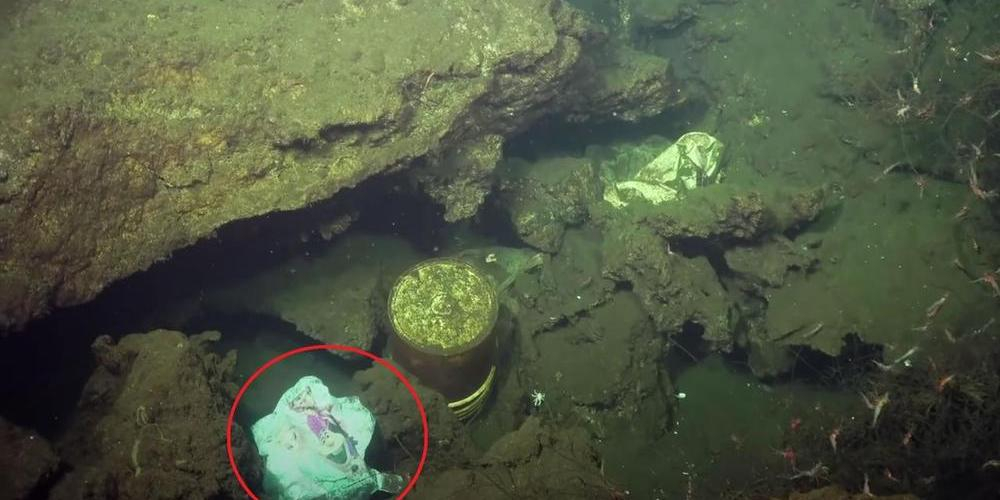 Uhyggelig funn på den dypeste delen av havet