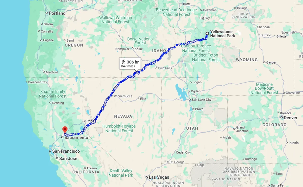 Uredd katt tilbakelegger 1.450 kilometer hjem fra Yellowstone til California