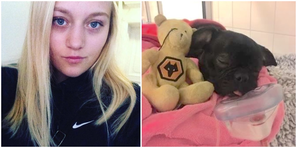 Frederikke advarer andre hundeeiere: Dyrlegen hadde alvorlig beskjed etter å ha undersøkt hundens munn