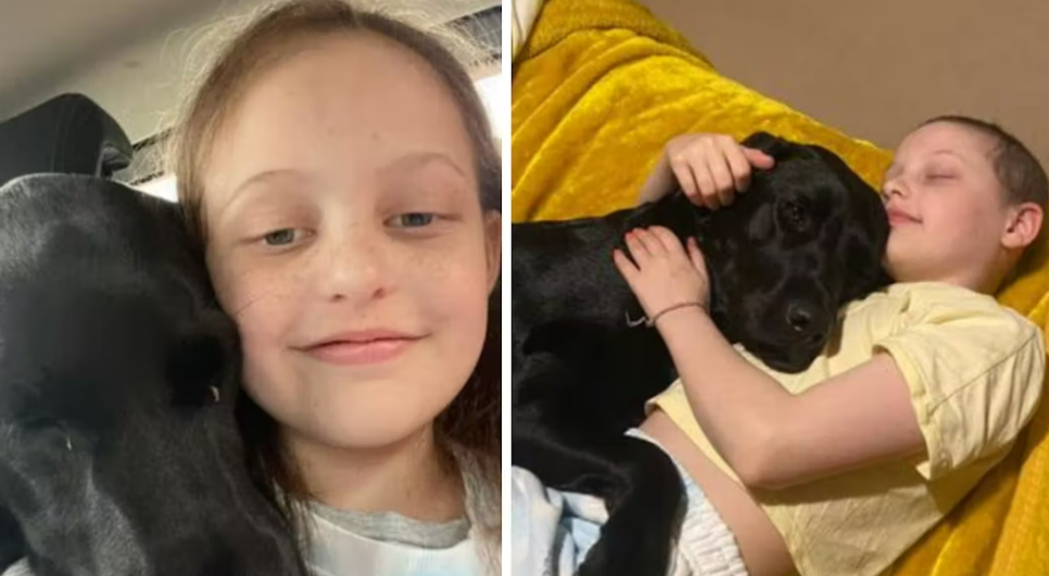 11 år gamle Lily var dødssyk av kreft: Hunden min ble min beste venn
