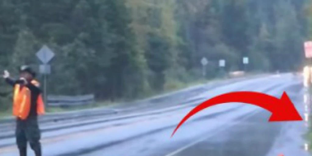Mannen stopper plutselig trafikken: Kort tid etter skjer det noe sjokkerende