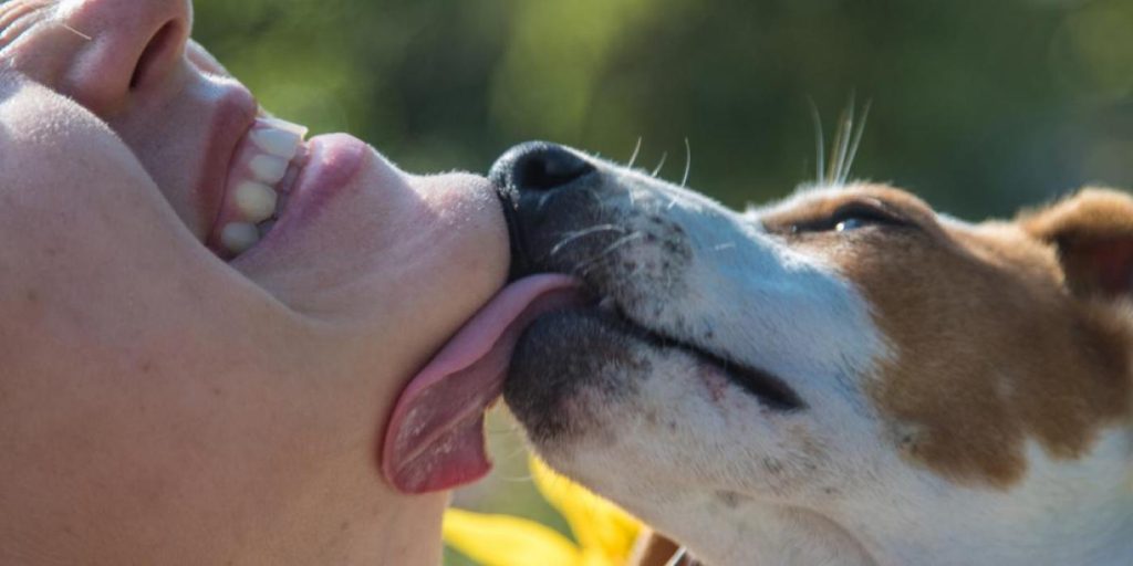 Eier mistet både armer og bein: Lot hunden slikke på henne