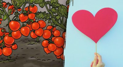 Finner du hjertet blant tomatene på 4 sekunder? Test blikket ditt med dette raske puslespillet!
