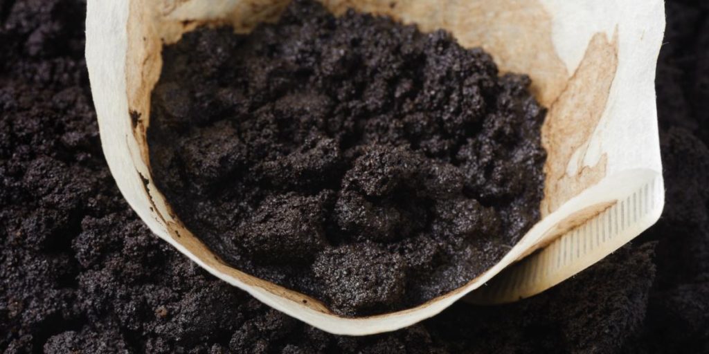 Sett kaffegrut i kjøleskapet ditt: Når du ser magien skje, vil du gjøre det samme