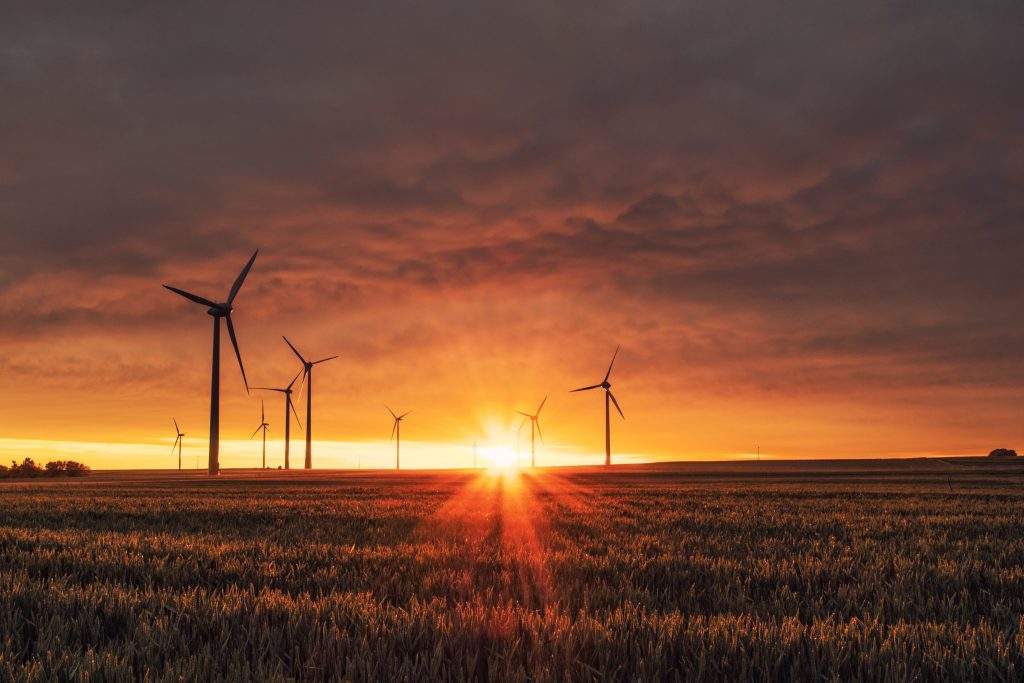 Fornybare energikilder er mer populære enn noen gang