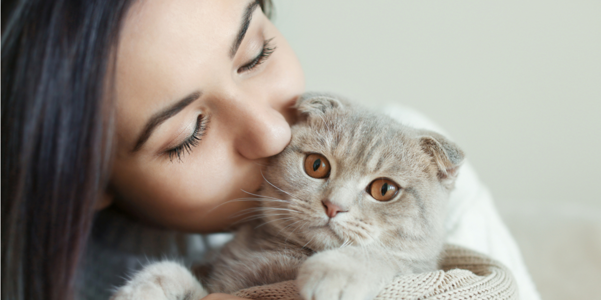 Appen alle katteeiere må ha: Dette sier katten din