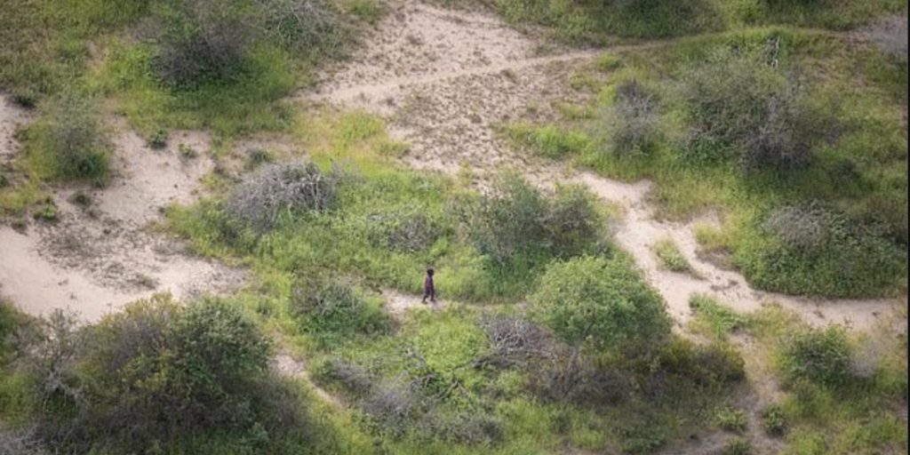 4 år gammel gutt overlever mirakuløst 6 dager i naturen