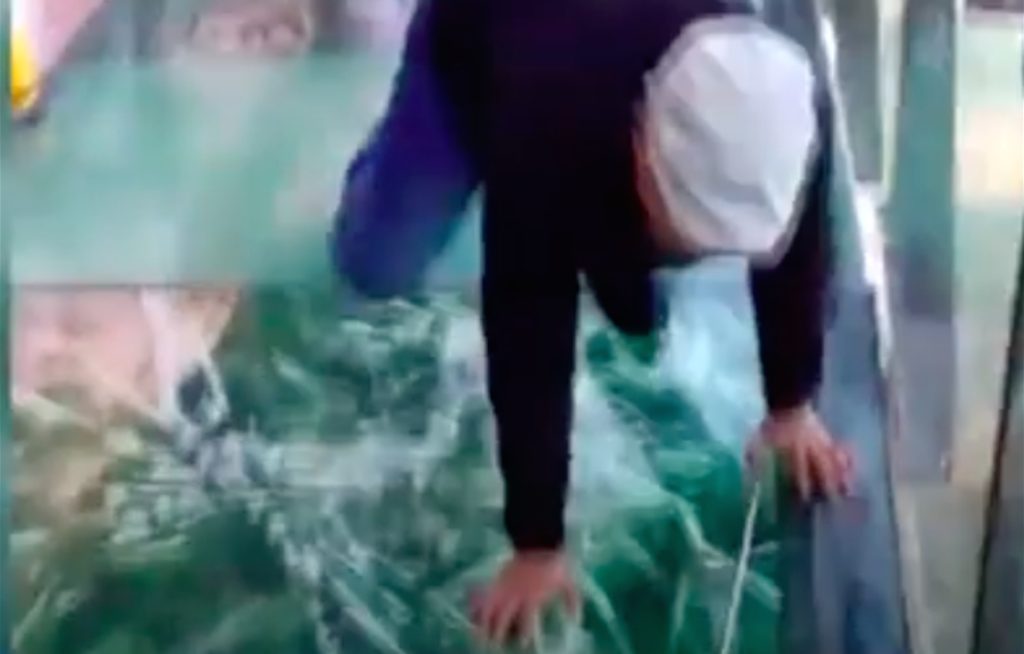 Video av mann på glassbro vekker angst: Turistene hyler da broen ‘sprekker opp’ under dem