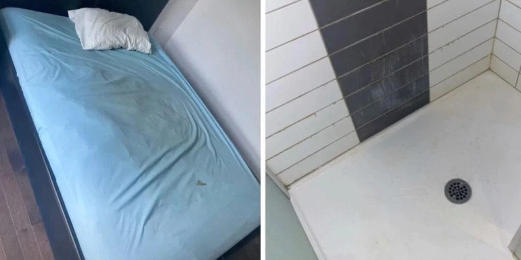 Ung kvinne klager over den klamme Airbnb-leiligheten: Så oppdager hun den pinlige sannheten