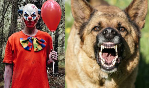 Klovn jakter skrekkslagen kvinne – men så går hunden hennes til angrep