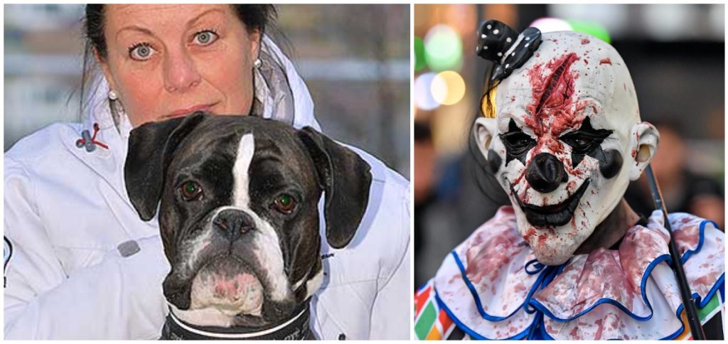 Hunden Ollie reddet mor fra uhyggelige klovner – nå får han prisen som årets helt