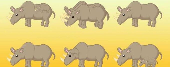 Hjernetrim: Hvor mange neshorn ser du på bildet? Bare genier klarer å telle riktig på 10 sekunder!