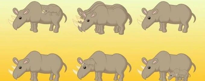 Hjernetrim: Hvor mange neshorn ser du på bildet? Bare genier klarer å telle riktig på 10 sekunder!