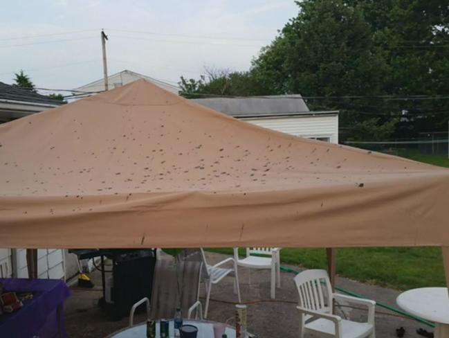 Dritt dag: Fly tømte toalett over 16-åringens bursdagsfest