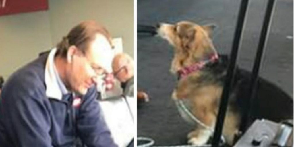 En hund får øyekontakt med en fremmed mann på flyplassen: Så oppdaget eieren den tragiske sannheten