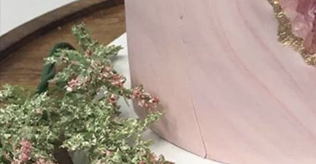 Bakeri delte bilde av rosa kake på Facebook: Folk friket helt ut da de så den