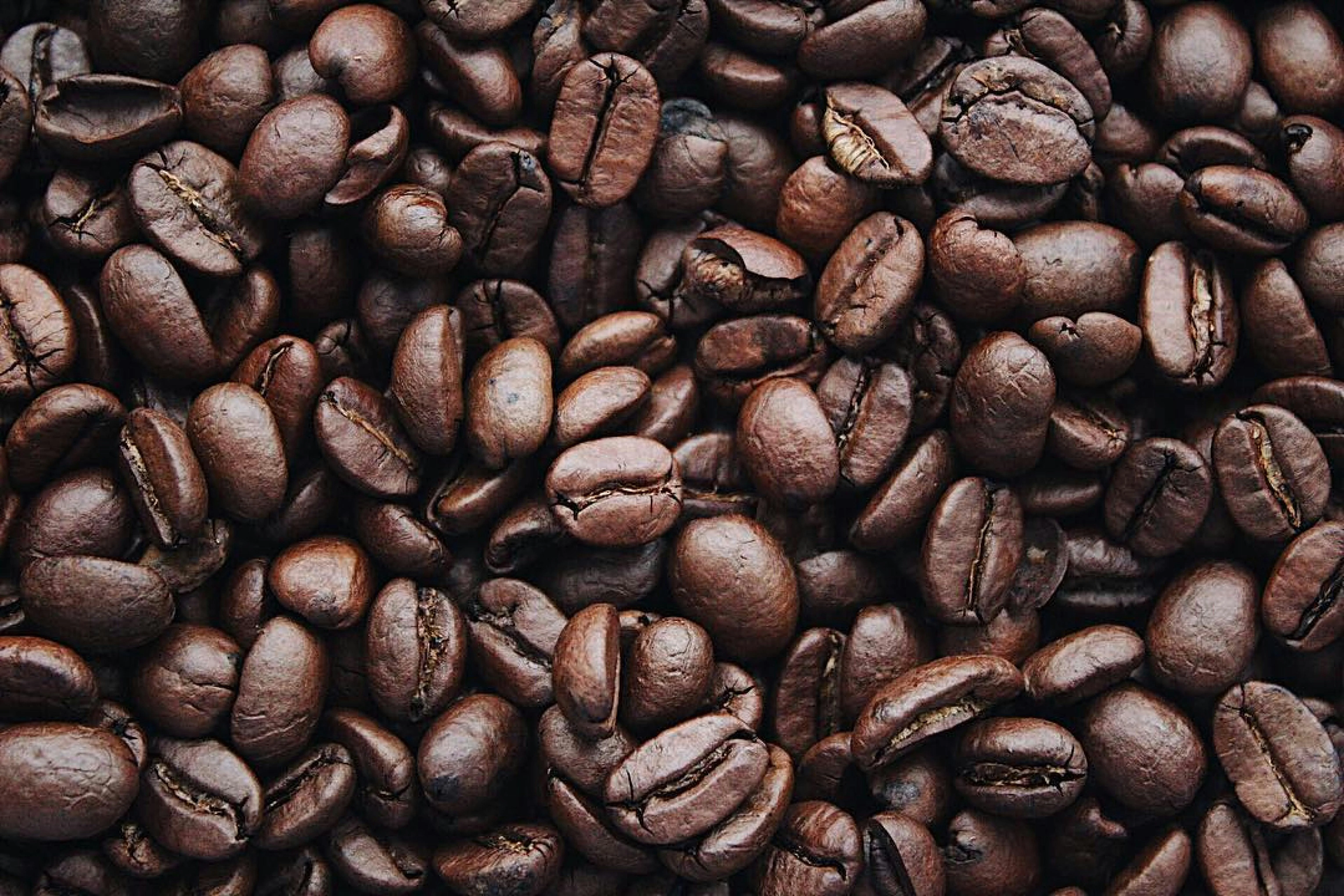 Sjokkerende prisøkning: Kaffeprisene skyter i været