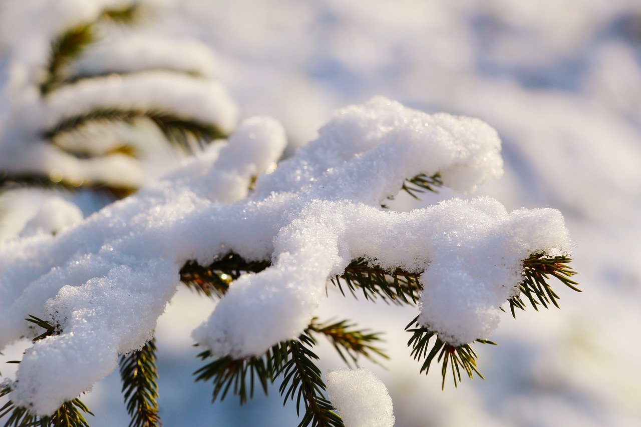 2 uventede måter å lage kunstig snø på