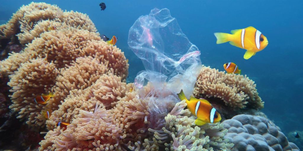 World Wildlife Fund med skremmende spådom: «Det er alvorlig»