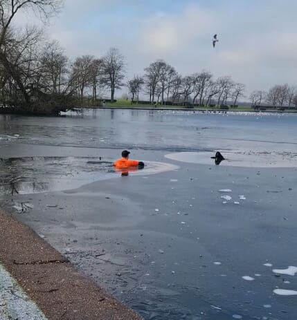 En jogger ser noe røre seg under isen: Da han ser hva det er, hopper han i det iskalde vannet