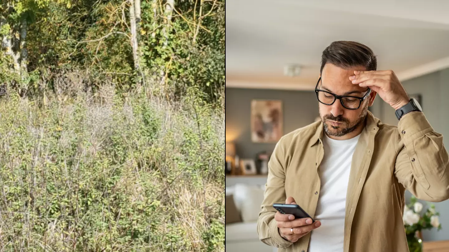 Folk blir fortalt at de har «supersyn» hvis de klarer å finne den skjulte hjorten i skogen