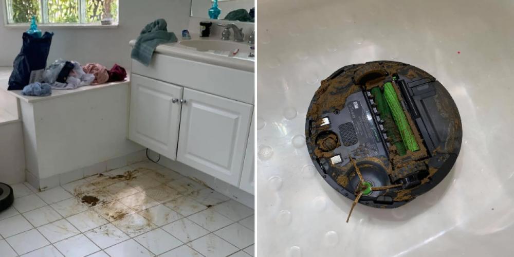 Ryans hund hadde bæsjet på gulvet: Så gikk robotstøvsugeren i gang