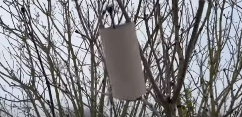 Heng toalettruller i hagen din: Se magien skje