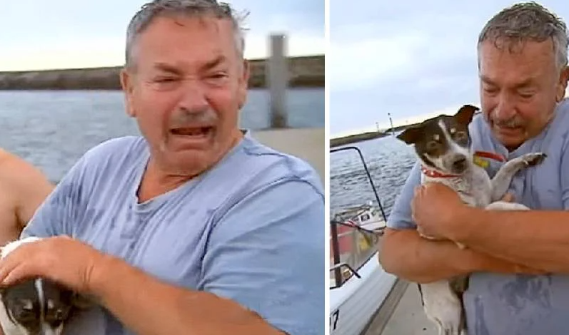 Fisker gjenforent med sin savnede hund etter dramatisk redning på havet