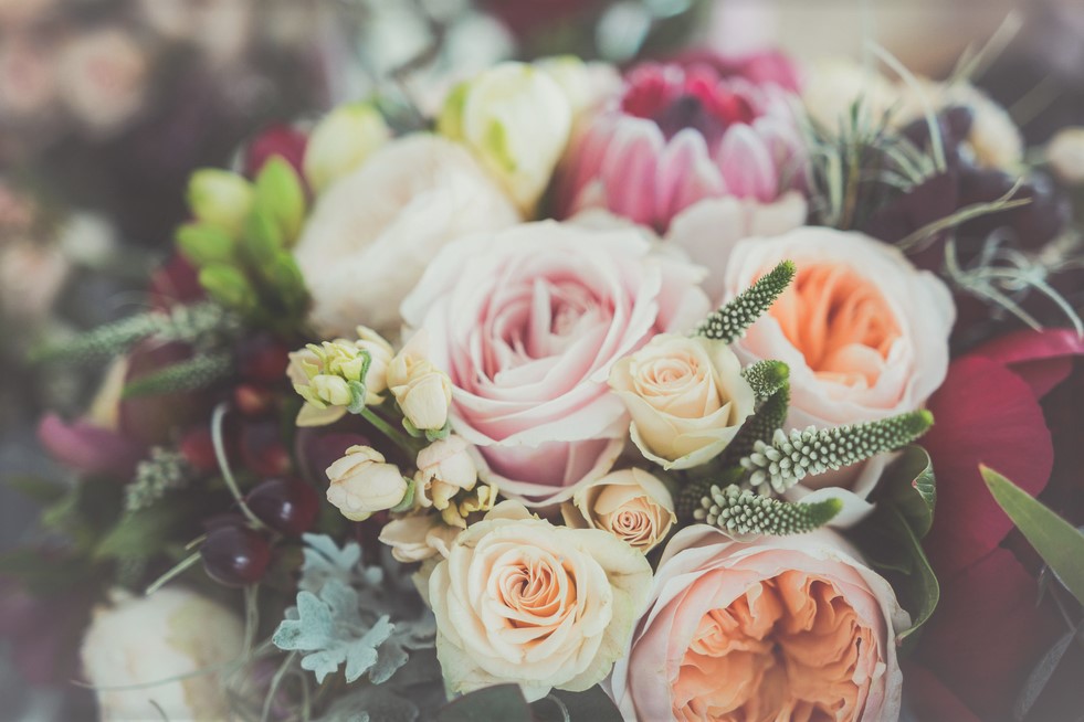Foto: Shutterstock.com