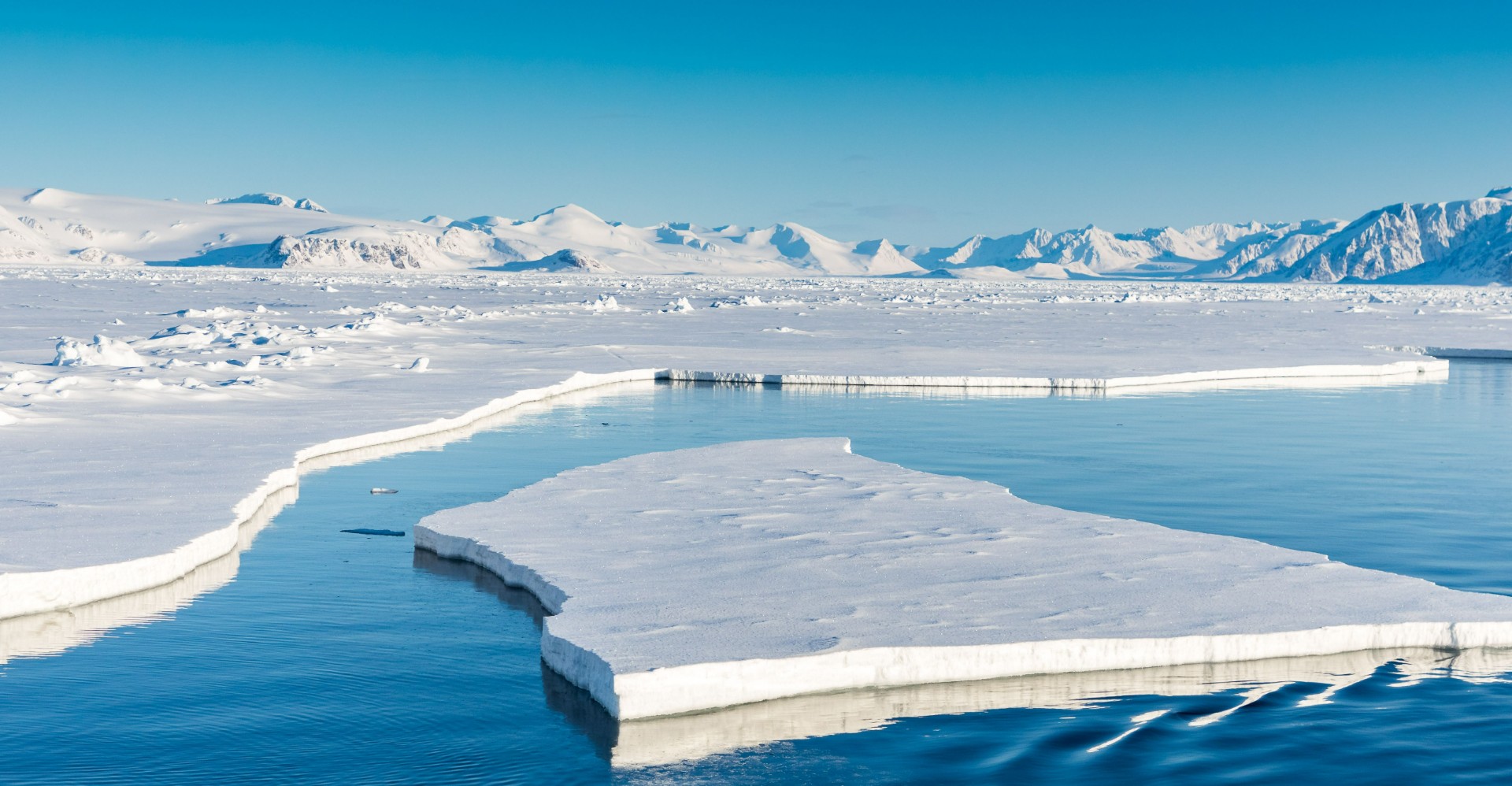Ekstremt: Varmerekord på Svalbard