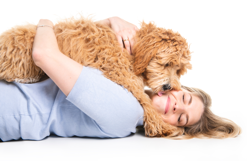 Følger hunden din etter deg overalt? Her er grunnen
