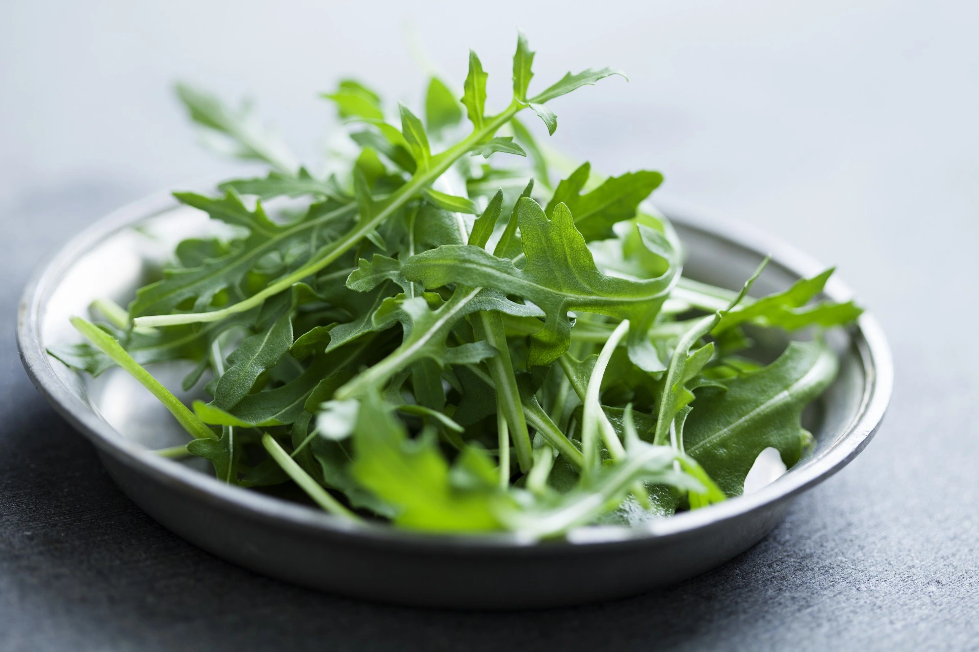 Slik oppbevarer du salat riktig – holder seg frisk i opptil seks uker