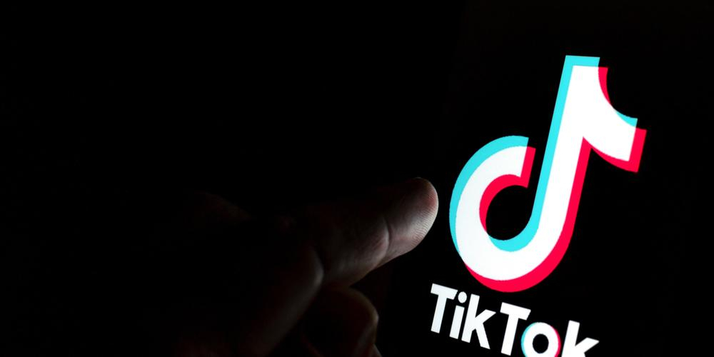 Dyrlege advarer hundeeiere om farlig trend på TikTok