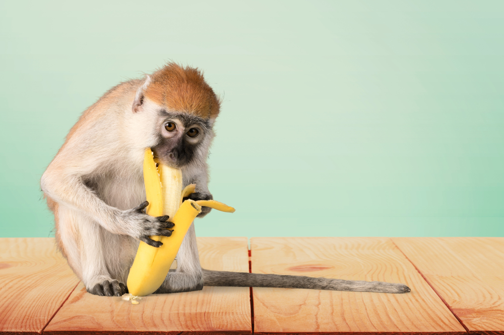 Har du spist banan feil hele livet? Ekspertens metode er overraskende morsom