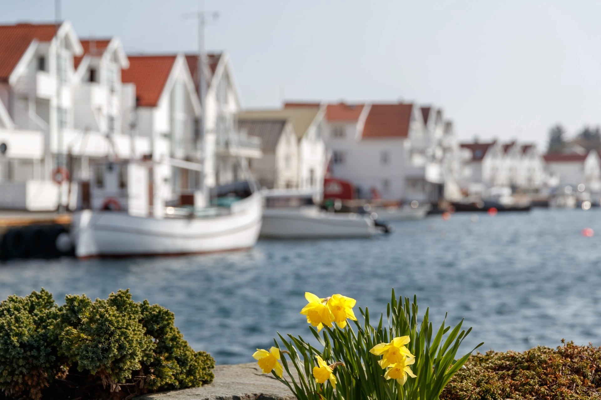 Vårstemning i sikte: Sør-Norge kan få en forsmak på sommeren