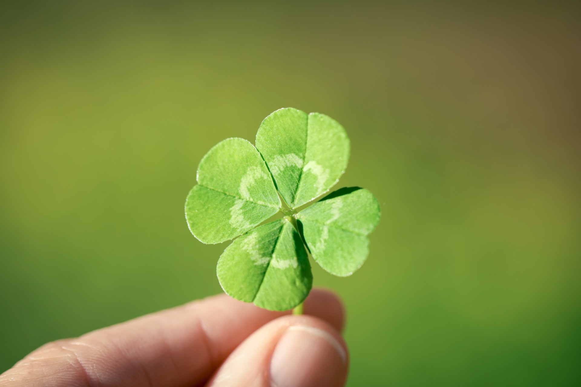 Dagen i dag: Advarsel til alle som planlegger å drikke Baby Guinness på St. Patrick’s Day